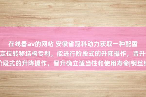 在线看av的网站 安徽省冠科动力获取一种配重块重力储能用升降平台定位转移结构专利，能进行阶段式的升降操作，晋升确立适当性和使用寿命|钢丝绳